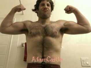 AdamCastle