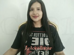 Antonellagar