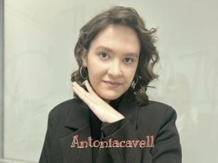 Antoniacavell