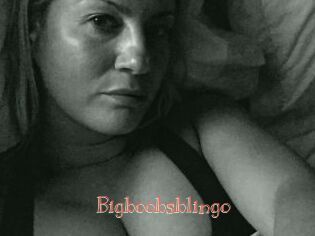 Bigboobsblingo