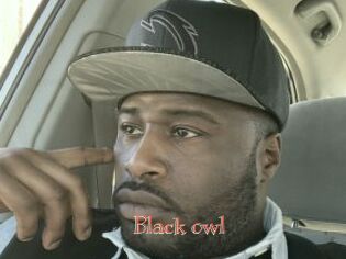 Black_owl
