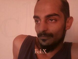 BobX Celebrix