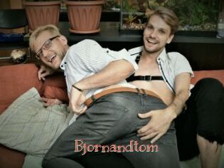 bjornandtom Celebrix