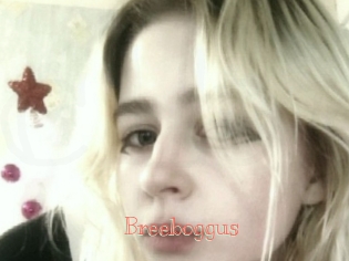 Breeboggus