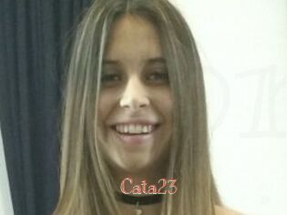 Cata23 Celebrix