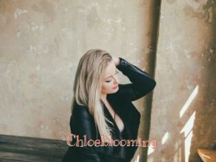 Chloeblooming