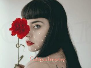 catinadmeow Celebrix