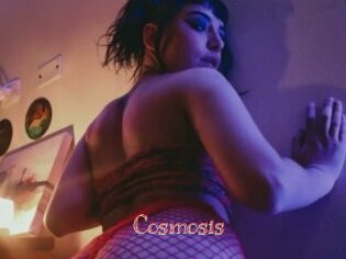 Cosmosis