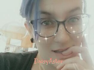 DaisyAster