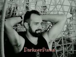 DarknerPuma Celebrix