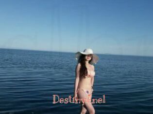 DestinyAnel
