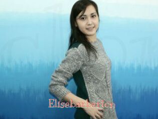 Elisebarberton