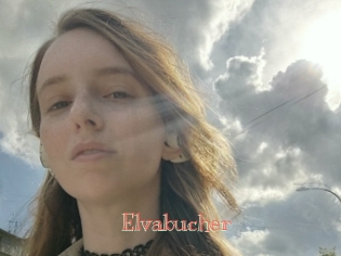 Elvabucher