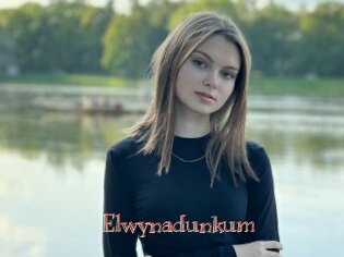 Elwynadunkum