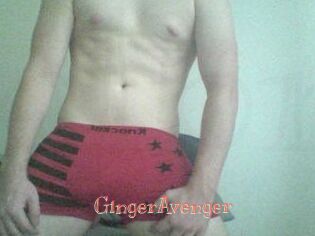 GingerAvenger