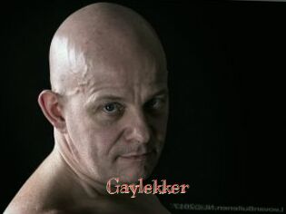 Gaylekker