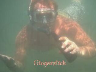 Gingerstick