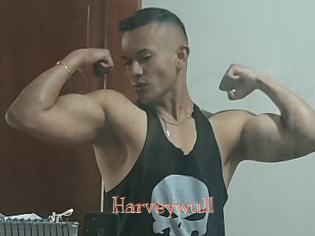 Harveywull