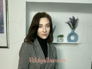 Hildgallamore