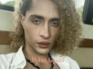 Hybridepool