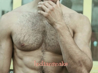 Indiansnake