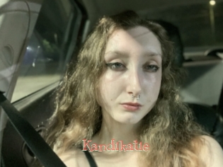 Kandikatie