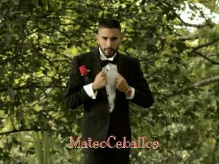 MateoCeballos