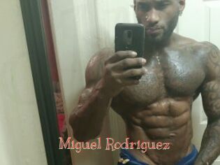 Miguel_Rodriguez