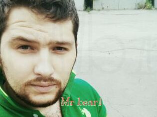 Mr_bear1