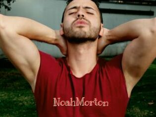 NoahMorton