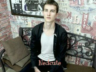Nedcute
