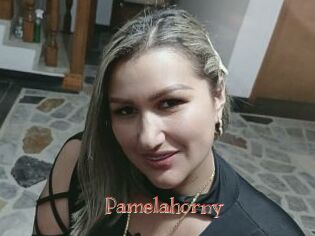 Pamelahorny