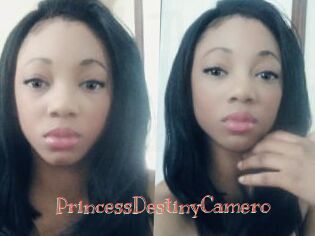PrincessDestinyCamero