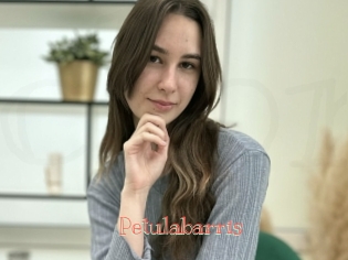 Petulabarris