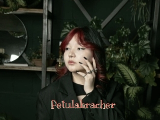 Petulabracher