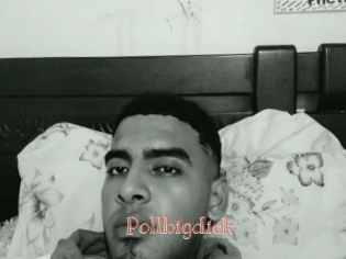 Pollbigdick