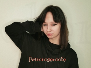 Primrosecoote