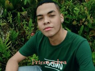 Prince_cobra