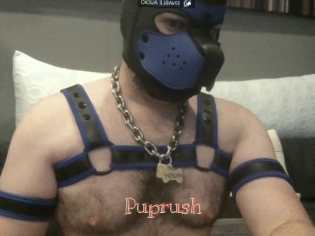 Puprush