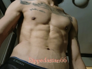 Rippedasian66