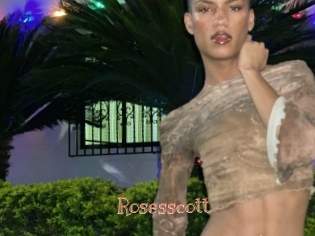 Rosesscott