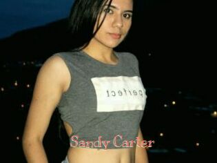 Sandy_Carter