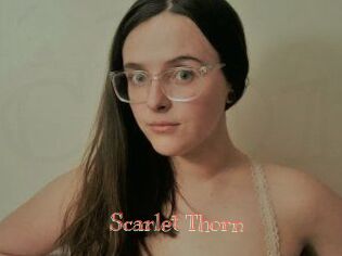 Scarlet_Thorn