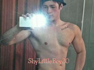 ShyLittleBoy20