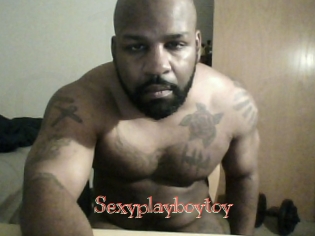 Sexyplayboytoy