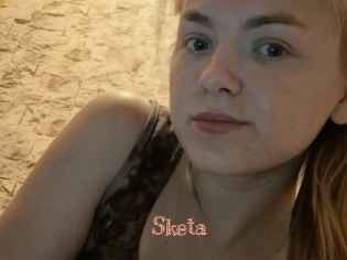 Sketa