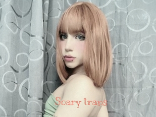 Soary_trans