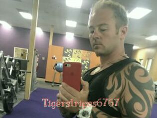 Tigerstripes6767