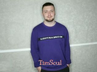 TimSoul