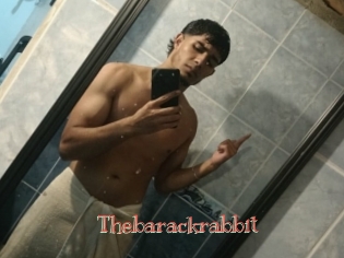 Thebarackrabbit